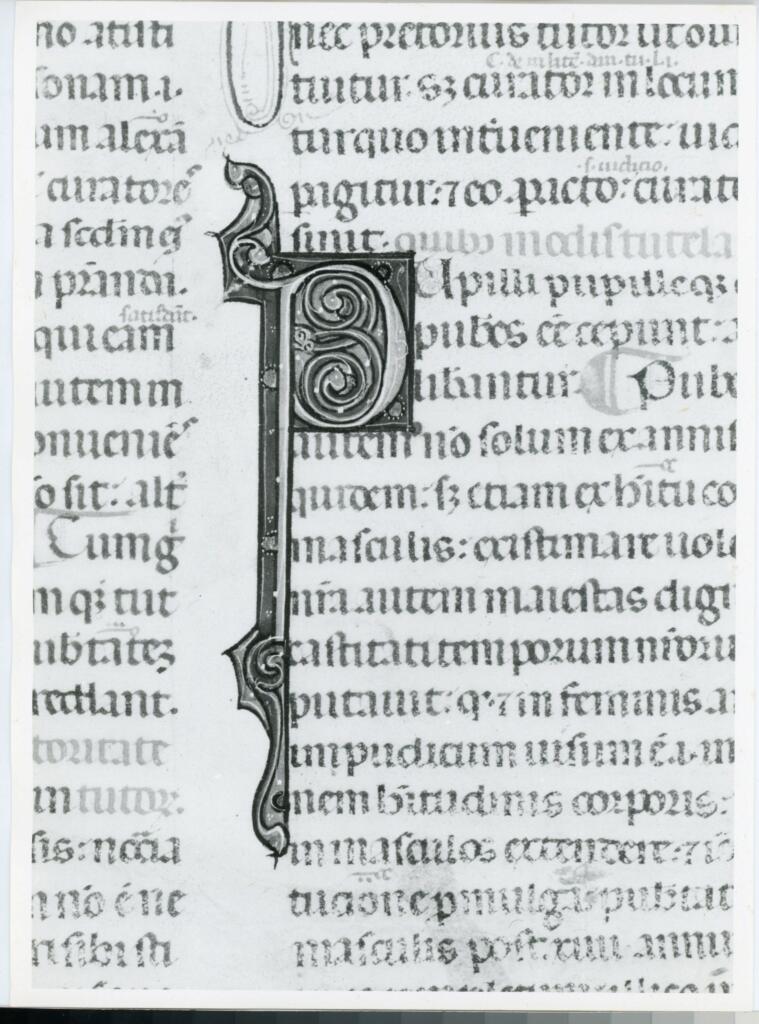 Anonimo italiano sec. XIV , Iniziale P, Iniziale decorata, Motivi decorativi vegetali e zoomorfi