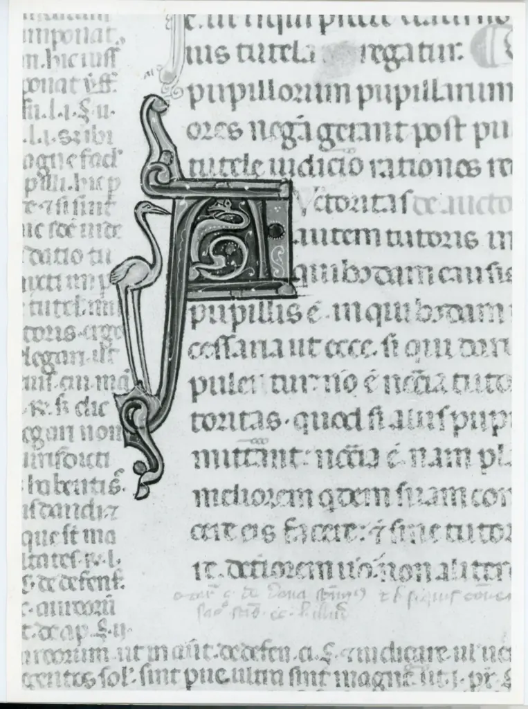 Universit&agrave; di Pisa. Dipartimento di Storia delle Arti , Anonimo italiano - sec. XIV, primo quarto - Lucca, Biblioteca Capitolare Feliniana, Ms. 325, f. 8r, particolare , fronte