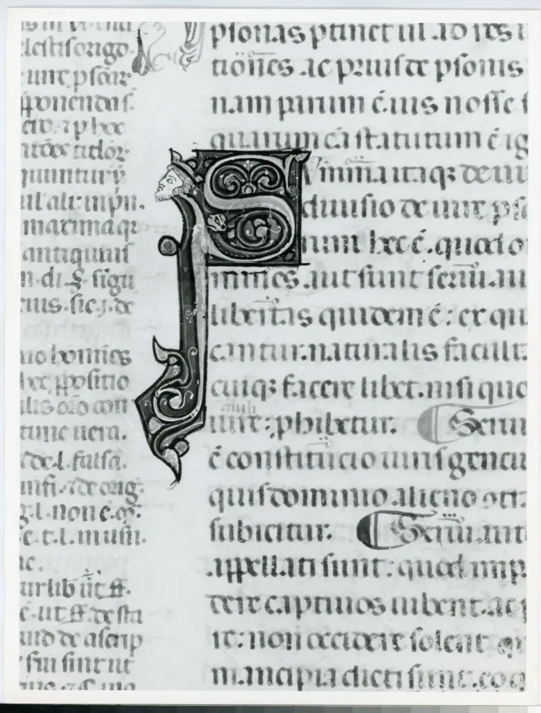 Anonimo italiano sec. XIV , Iniziale S, Iniziale decorata, Motivi decorativi vegetali e zoomorfi, Protome con barba, Protome coronata