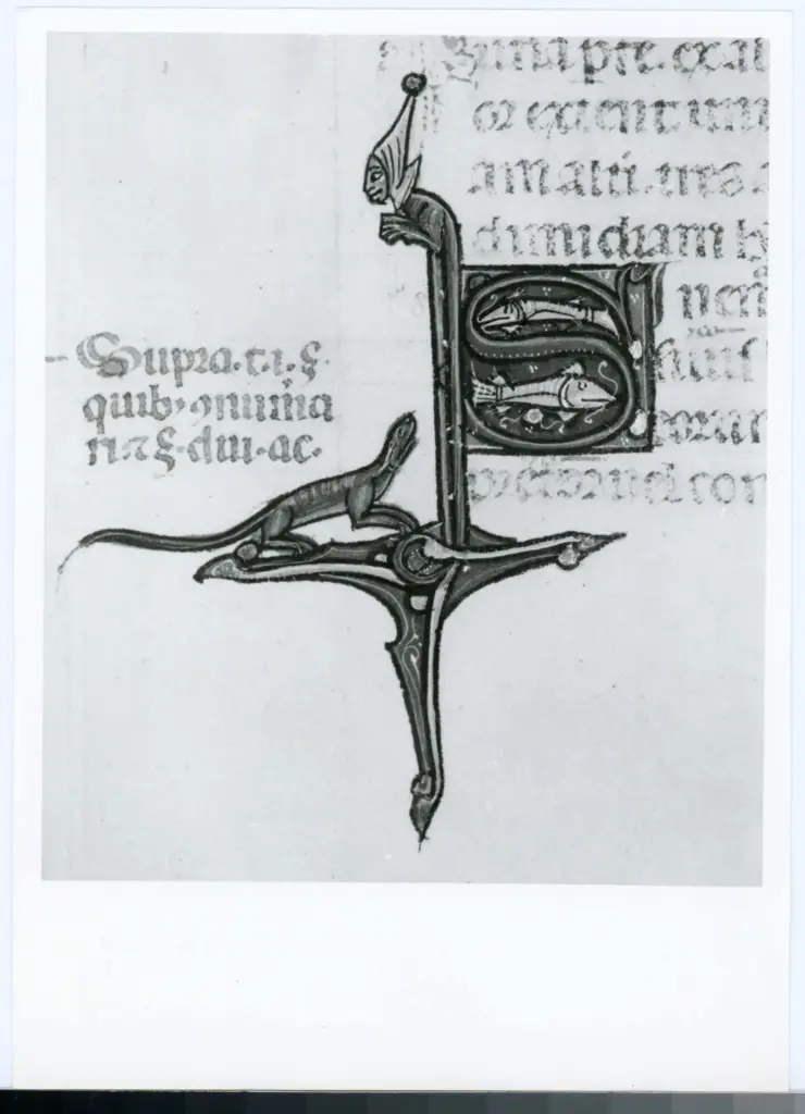 Universit&agrave; di Pisa. Dipartimento di Storia delle Arti , Anonimo italiano - sec. XIV, primo quarto - Lucca, Biblioteca Capitolare Feliniana, Ms. 325, f. 30r, particolare , fronte