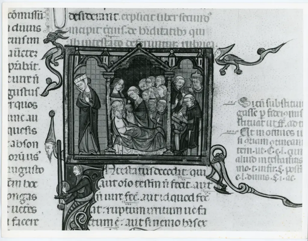 Universit&agrave; di Pisa. Dipartimento di Storia delle Arti , Anonimo italiano - sec. XIV, primo quarto - Lucca, Biblioteca Capitolare Feliniana, Ms. 325, f. 28r, particolare , fronte