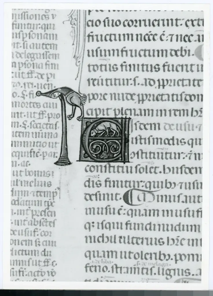 Universit&agrave; di Pisa. Dipartimento di Storia delle Arti , Anonimo italiano - sec. XIV, primo quarto - Lucca, Biblioteca Capitolare Feliniana, Ms. 325, f. 14r, particolare , fronte