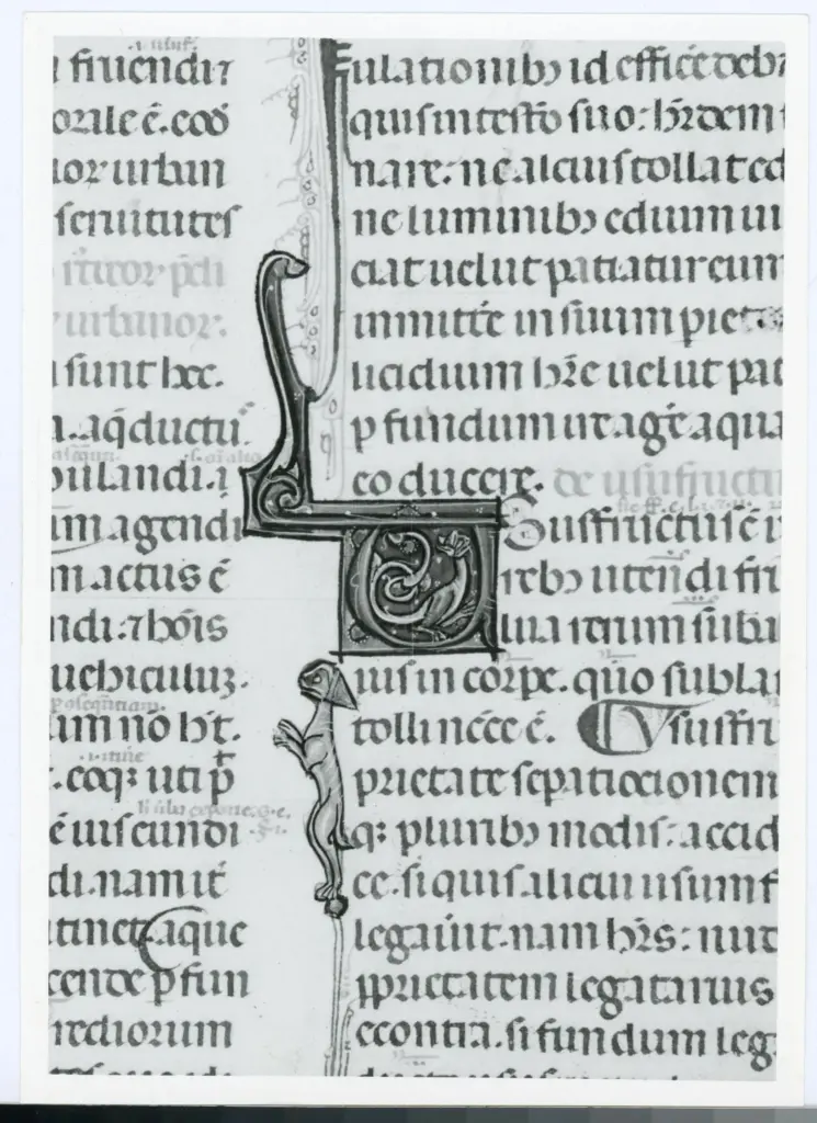 Anonimo italiano sec. XIV , Iniziale U, Iniziale decorata, Motivo decorativo con animali fantastici, Motivi decorativi fitomorfi