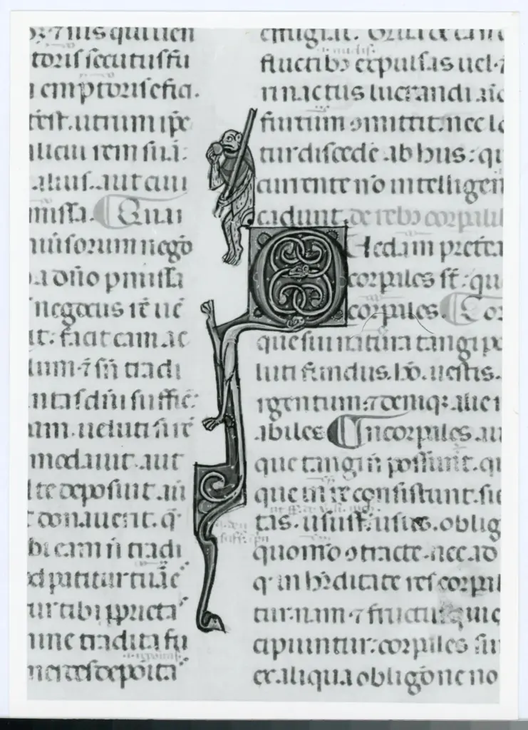 Universit&agrave; di Pisa. Dipartimento di Storia delle Arti , Anonimo italiano - sec. XIV, primo quarto - Lucca, Biblioteca Capitolare Feliniana, Ms. 325, f. 13r, particolare , fronte