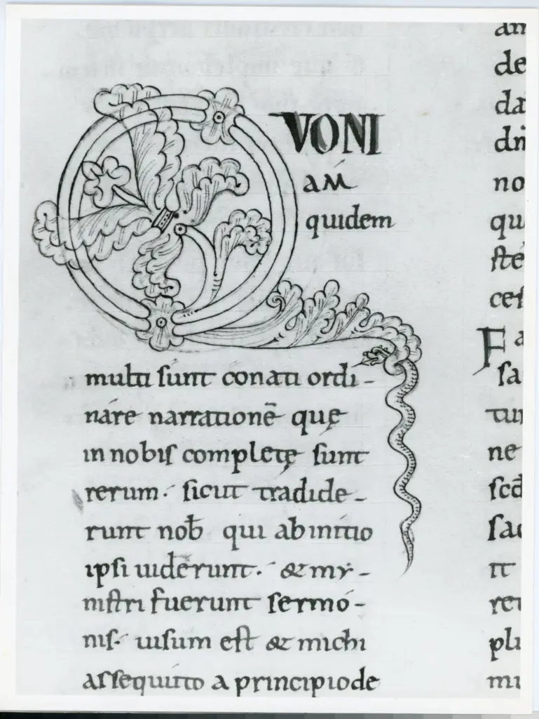 Anonimo italiano sec. XII , Iniziale Q, Iniziale figurata, Motivi decorativi vegetali e zoomorfi