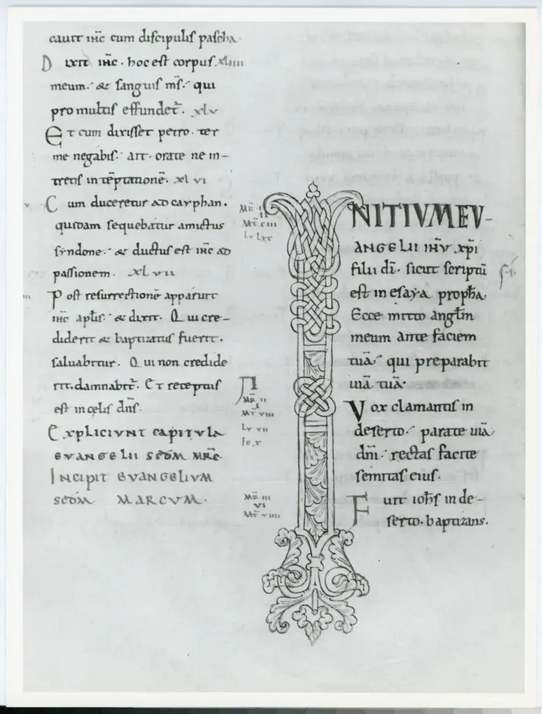 Universit&agrave; di Pisa. Dipartimento di Storia delle Arti , Anonimo italiano - sec. XII, inizio - Lucca, Biblioteca Capitolare Feliniana di Lucca, Ms. 48, f. 58v, particolare , fronte