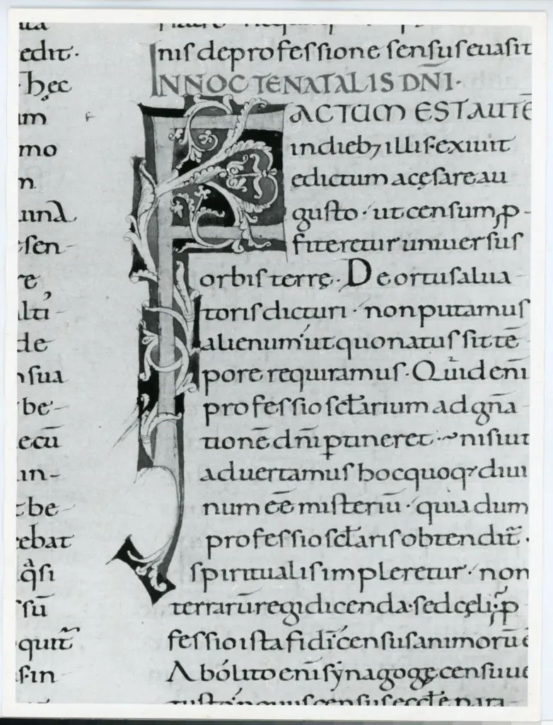 Anonimo italiano sec. XII , Iniziale F, Iniziale decorata, Motivi decorativi fitomorfi