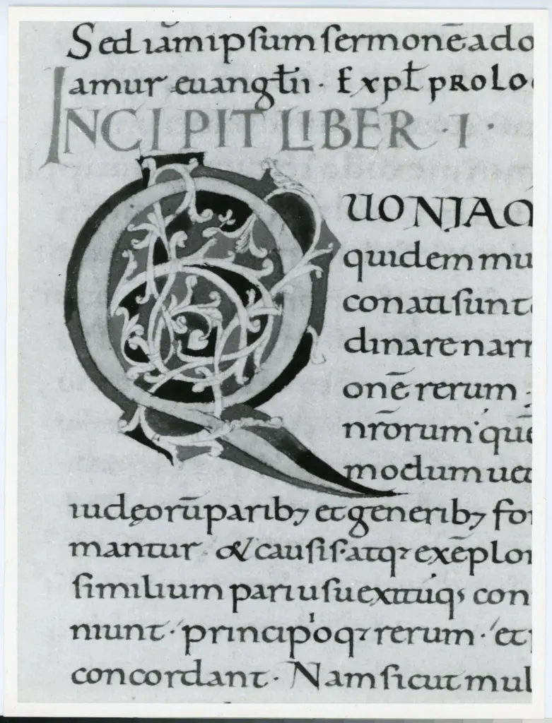 Anonimo italiano sec. XII , Iniziale Q, Iniziale decorata, Motivi decorativi fitomorfi