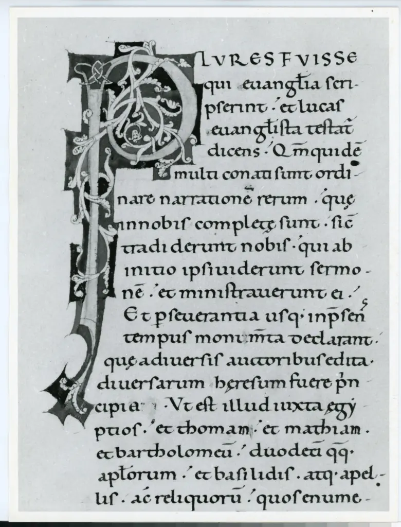 Universit&agrave; di Pisa. Dipartimento di Storia delle Arti , Anonimo italiano - sec. XII, inizio - Lucca, Biblioteca Capitolare Feliniana, Ms. 47, f. 1r, particolare , fronte