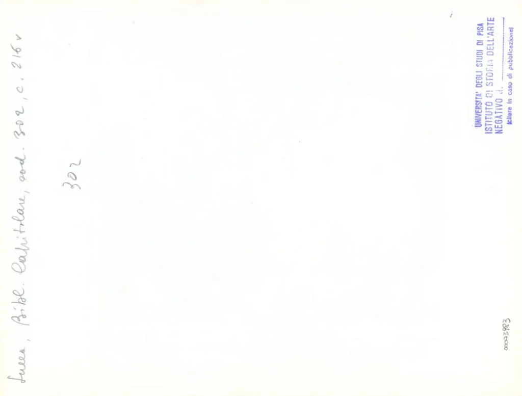 Universit&agrave; di Pisa. Dipartimento di Storia delle Arti , Anonimo italiano - sec. XIV, met&agrave; - Lucca, Biblioteca Capitolare Feliniana, Ms. 302, f. 216v, particolare , retro