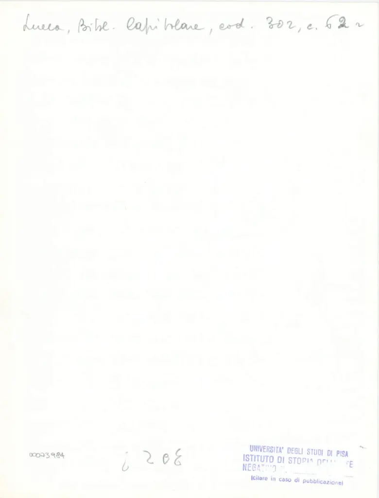 Universit&agrave; di Pisa. Dipartimento di Storia delle Arti , Anonimo italiano - sec. XIV, met&agrave; - Lucca, Biblioteca Capitolare Feliniana, Ms. 302, f. 62r, particolare , retro