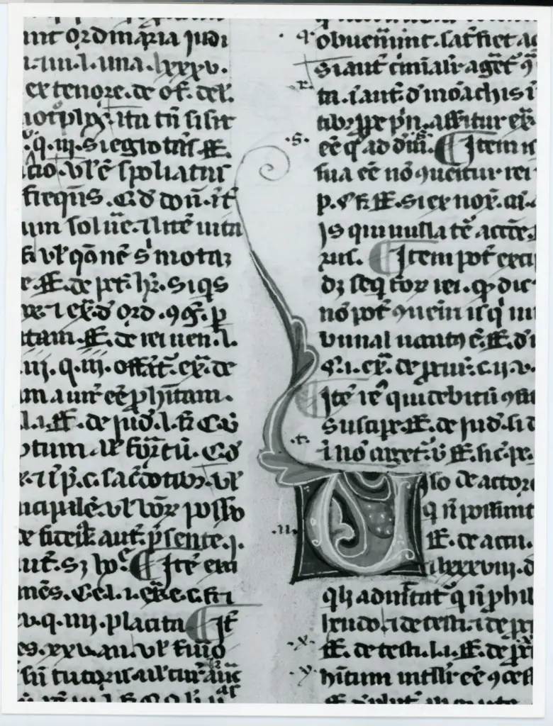 Anonimo italiano sec. XIV , Iniziale decorata, Motivi decorativi fitomorfi