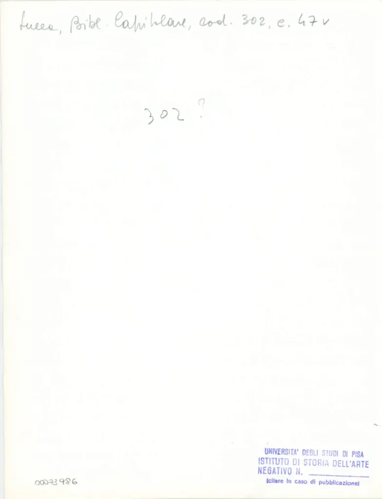 Universit&agrave; di Pisa. Dipartimento di Storia delle Arti , Anonimo italiano - sec. XIV, met&agrave; - Lucca, Biblioteca Capitolare Feliniana, Ms. 302, f. 47v, particolare , retro
