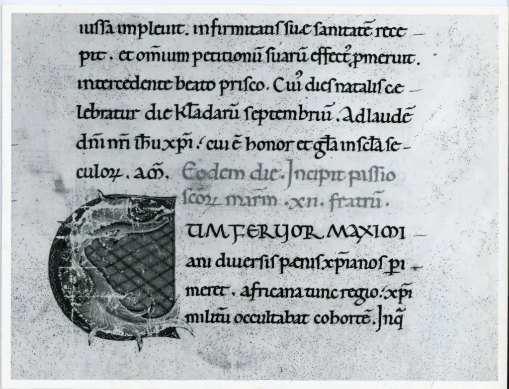 Anonimo italiano sec. XII , Iniziale C, Iniziale figurata, Pesce