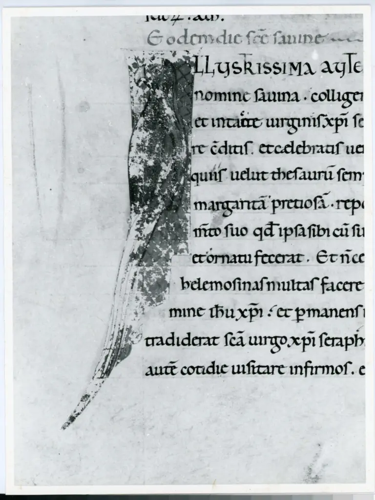 Università di Pisa. Dipartimento di Storia delle Arti , Anonimo italiano - sec. XII, prima metà - Lucca, Biblioteca Capitolare Feliniana, Ms. Passionario P, f. 77v, particolare , fronte