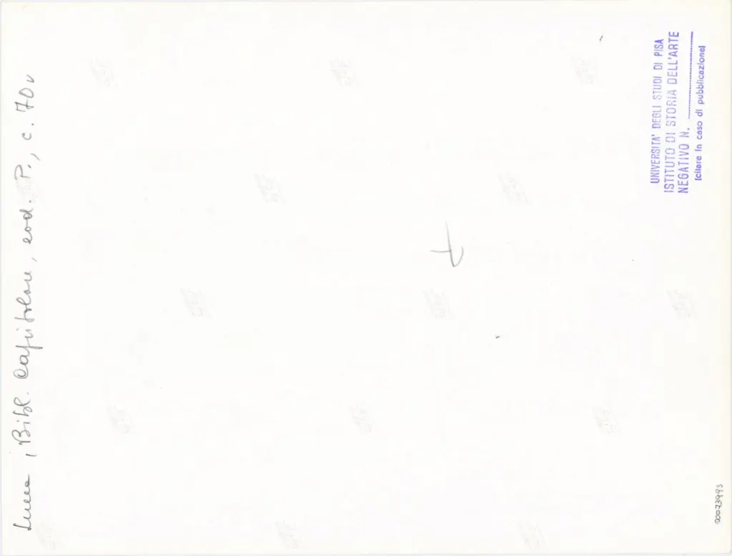 Universit&agrave; di Pisa. Dipartimento di Storia delle Arti , Anonimo italiano - sec. XII, prima met&agrave; - Lucca, Biblioteca Capitolare Feliniana, Ms. Passionario P, f. 70v, particolare , retro