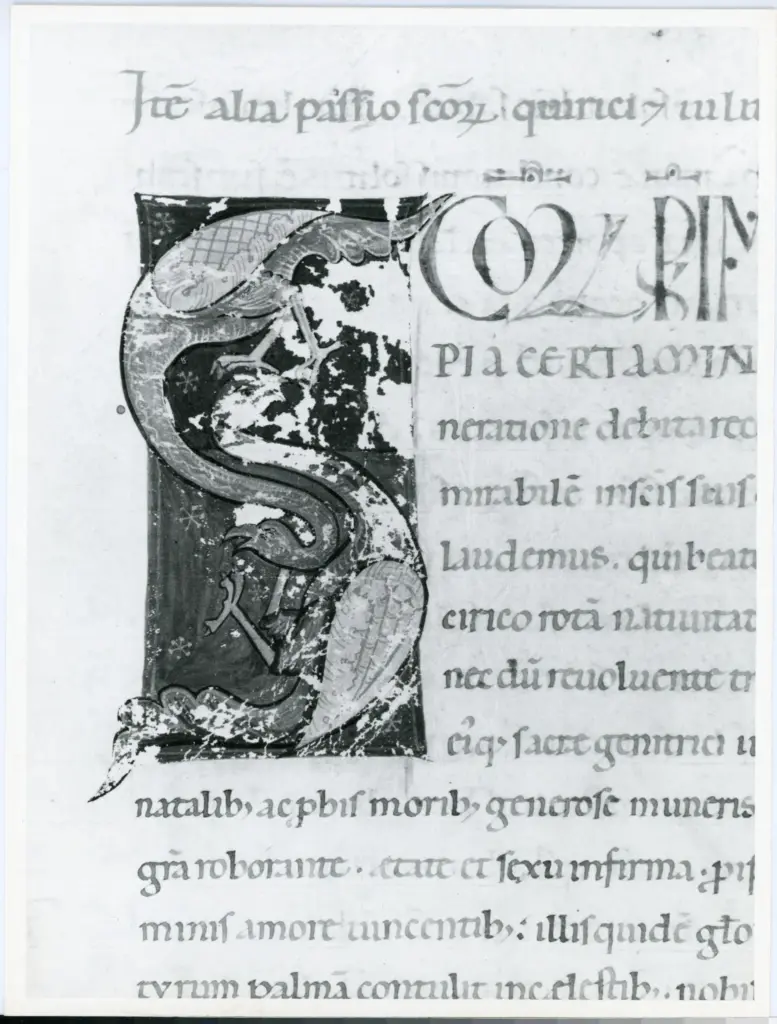 Universit&agrave; di Pisa. Dipartimento di Storia delle Arti , Anonimo italiano - sec. XII, prima met&agrave; - Lucca, Biblioteca Capitolare Feliniana, Ms. Passionario P, f. 7v, particolare , fronte