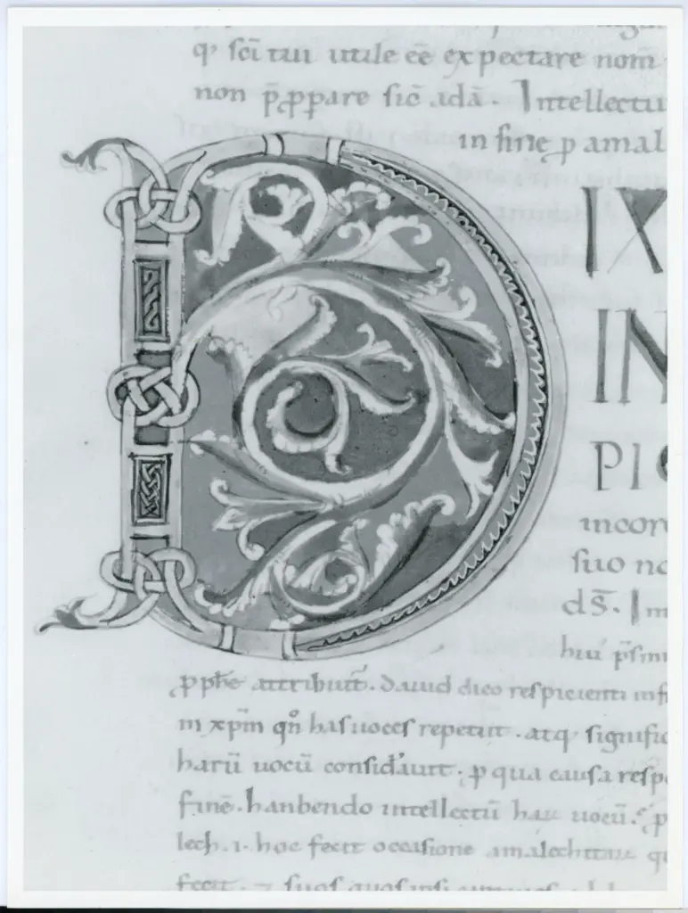 Anonimo italiano sec. XII , Iniziale D, Iniziale decorata, Motivi decorativi geometrici e vegetali, Intreccio