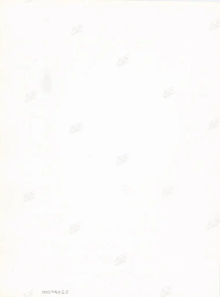 Università di Pisa. Dipartimento di Storia delle Arti , Anonimo italiano - sec. XI, fine - Lucca, Biblioteca Capitolare Feliniana, Ms. 20, particolare , retro