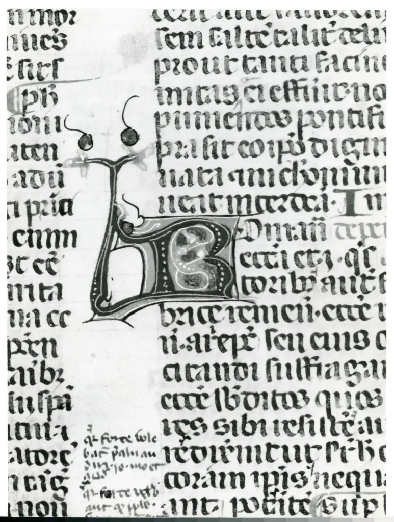 Universit&agrave; di Pisa. Dipartimento di Storia delle Arti , Anonimo italiano - sec. XIV, terzo quarto - Lucca, Biblioteca Capitolare Feliniana, Ms. 233, f. 102v, particolare , fronte