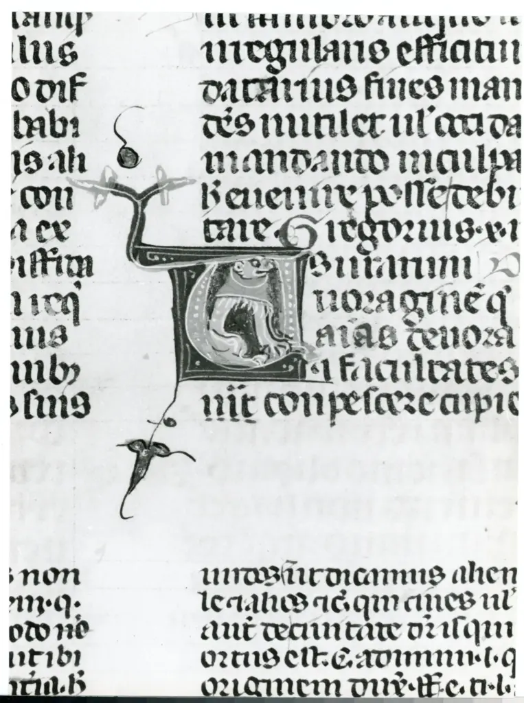 Universit&agrave; di Pisa. Dipartimento di Storia delle Arti , Anonimo italiano - sec. XIV, terzo quarto - Lucca, Biblioteca Capitolare Feliniana, Ms. 233, f. 96v, particolare , fronte