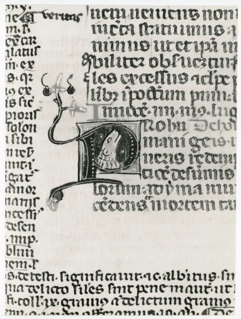 Universit&agrave; di Pisa. Dipartimento di Storia delle Arti , Anonimo italiano - sec. XIV, terzo quarto - Lucca, Biblioteca Capitolare Feliniana, Ms. 233, f. 96r, particolare , fronte