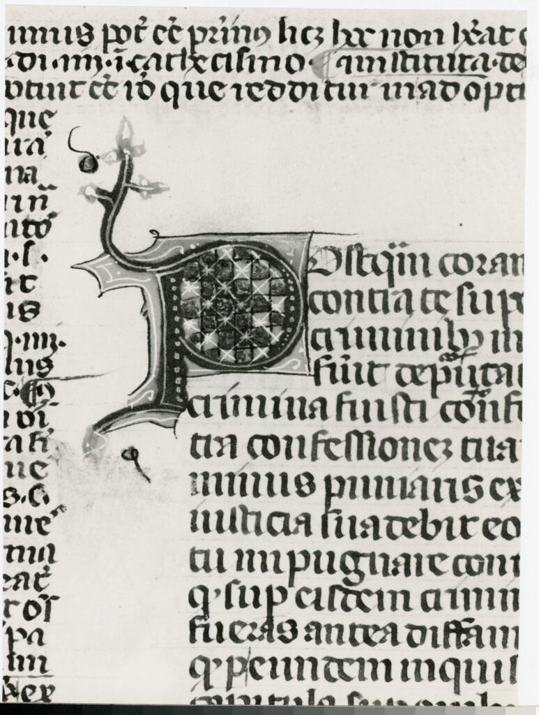 Anonimo italiano sec. XIV , Iniziale P, Iniziale decorata, Motivi decorativi geometrici, Motivi decorativi fitomorfi
