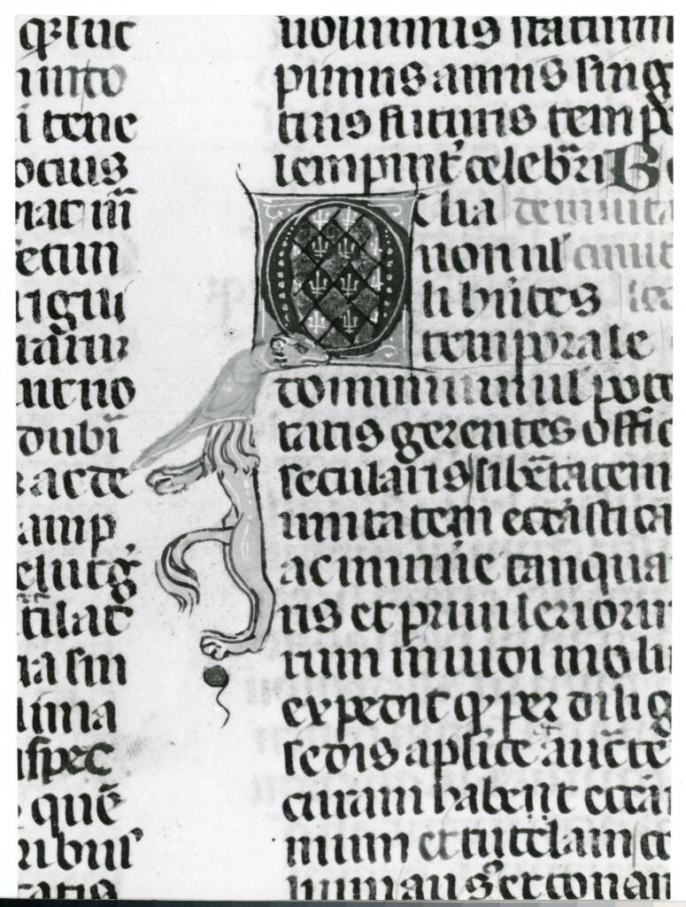 Anonimo italiano sec. XIV , Iniziale Q, Iniziale figurata, Motivo decorativo con animali fantastici, Motivi decorativi geometrici