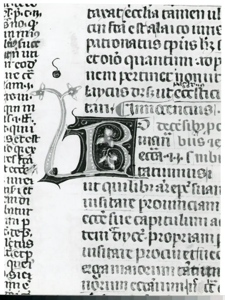 Universit&agrave; di Pisa. Dipartimento di Storia delle Arti , Anonimo italiano - sec. XIV, terzo quarto - Lucca, Biblioteca Capitolare Feliniana, Ms. 233, f. 85r, particolare , fronte