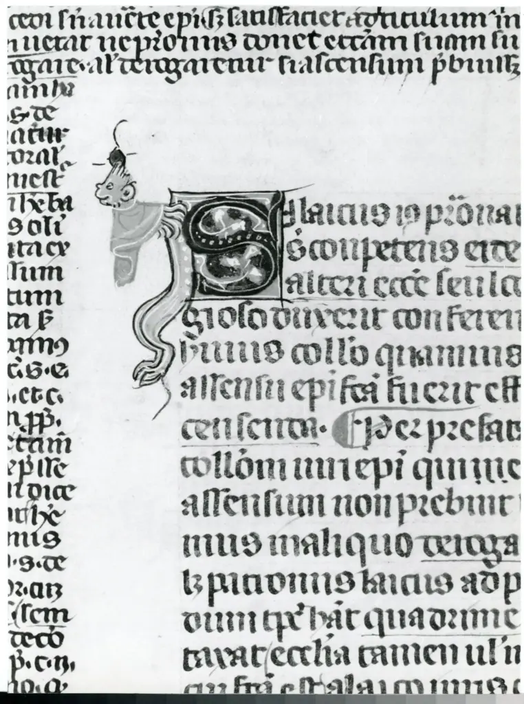 Anonimo italiano sec. XIV , Iniziale S, Iniziale decorata, Motivo decorativo con animali fantastici