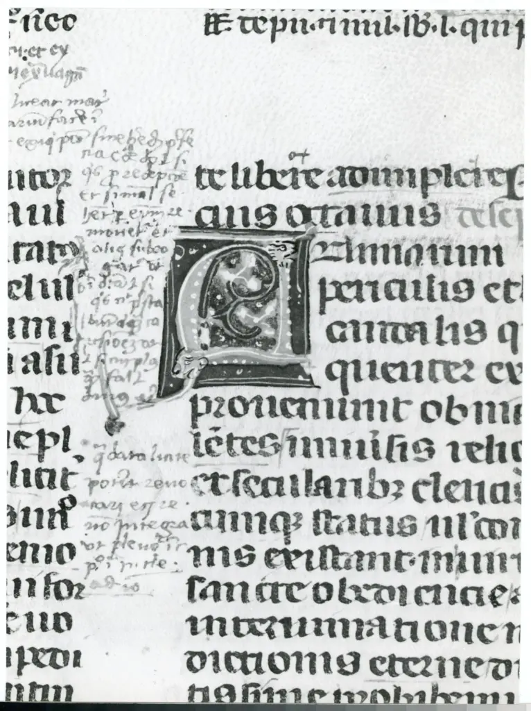 Universit&agrave; di Pisa. Dipartimento di Storia delle Arti , Anonimo italiano - sec. XIV, terzo quarto - Lucca, Biblioteca Capitolare Feliniana, Ms. 233, f. 80r, particolare , fronte