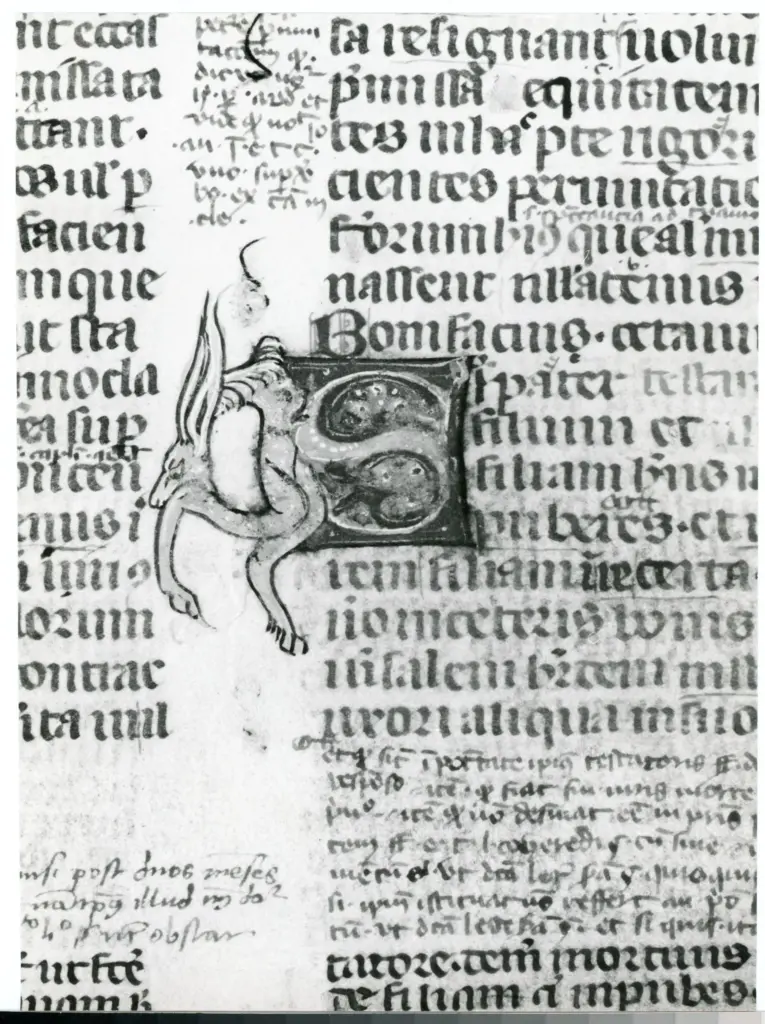 Universit&agrave; di Pisa. Dipartimento di Storia delle Arti , Anonimo italiano - sec. XIV, terzo quarto - Lucca, Biblioteca Capitolare Feliniana, Ms. 233, f. 79r, particolare , fronte