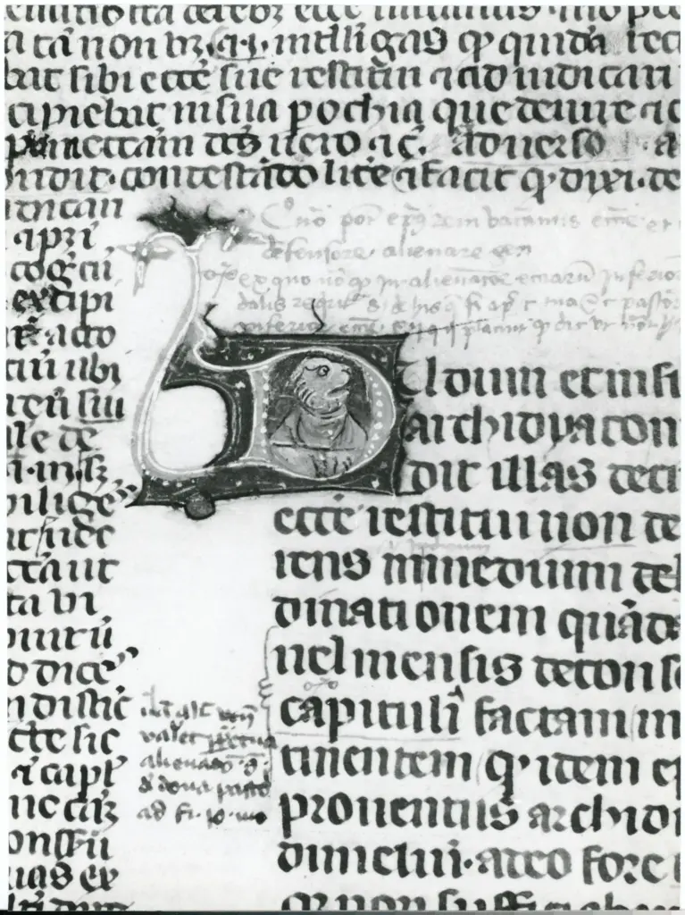 Universit&agrave; di Pisa. Dipartimento di Storia delle Arti , Anonimo italiano - sec. XIV, terzo quarto - Lucca, Biblioteca Capitolare Feliniana, Ms. 233, f. 78v, particolare , fronte