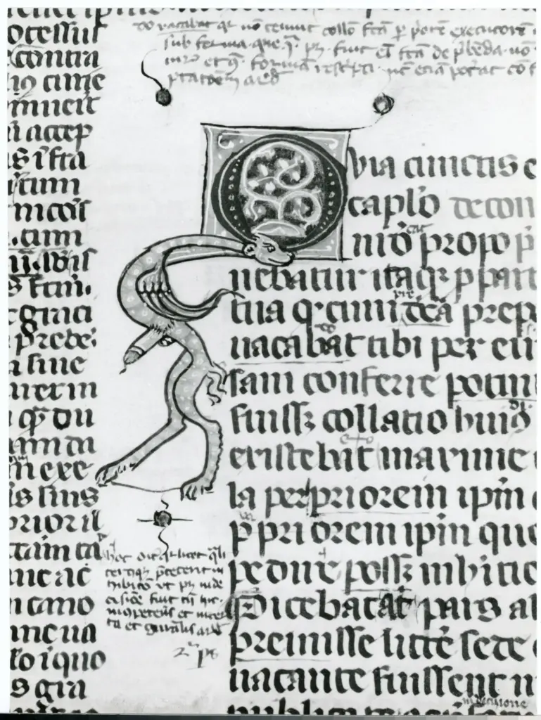 Universit&agrave; di Pisa. Dipartimento di Storia delle Arti , Anonimo italiano - sec. XIV, terzo quarto - Lucca, Biblioteca Capitolare Feliniana, Ms. 233, f. 74v, particolare , fronte