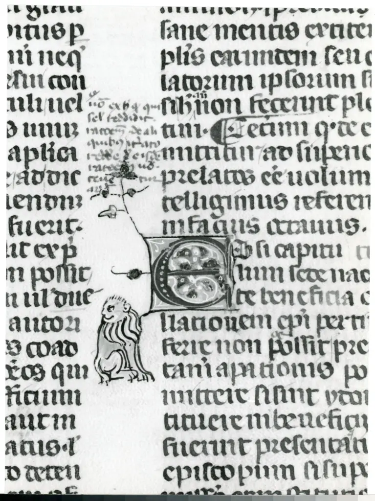 Universit&agrave; di Pisa. Dipartimento di Storia delle Arti , Anonimo italiano - sec. XIV, terzo quarto - Lucca, Biblioteca Capitolare Feliniana, Ms. 233, f. 74r, particolare , fronte