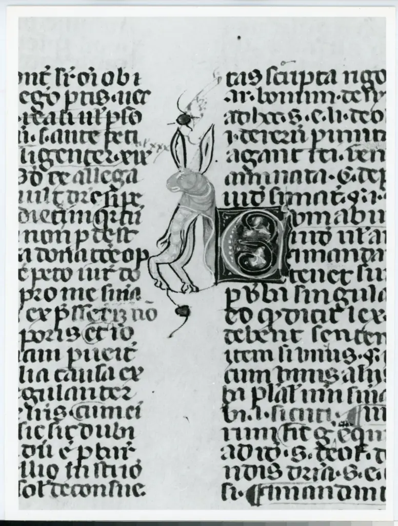 Universit&agrave; di Pisa. Dipartimento di Storia delle Arti , Anonimo italiano - sec. XIV, terzo quarto - Lucca, Biblioteca Capitolare Feliniana, Ms. 233, f. 60v, particolare , fronte