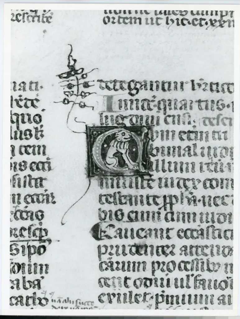 Universit&agrave; di Pisa. Dipartimento di Storia delle Arti , Anonimo italiano - sec. XIV, terzo quarto - Lucca, Biblioteca Capitolare Feliniana, Ms. 233, f. 58r, particolare , fronte