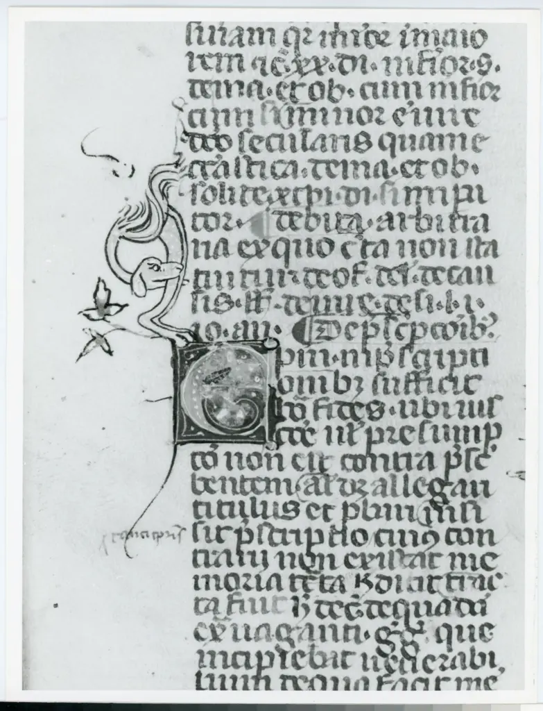 Universit&agrave; di Pisa. Dipartimento di Storia delle Arti , Anonimo italiano - sec. XIV, terzo quarto - Lucca, Biblioteca Capitolare Feliniana, Ms. 233, f. 57v, particolare , fronte