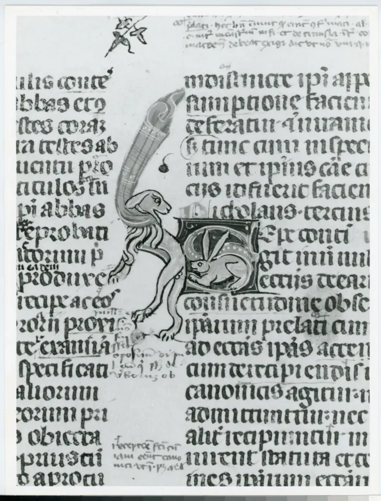 Anonimo italiano sec. XIV , Iniziale S, Iniziale decorata, Motivo decorativo zoomorfo