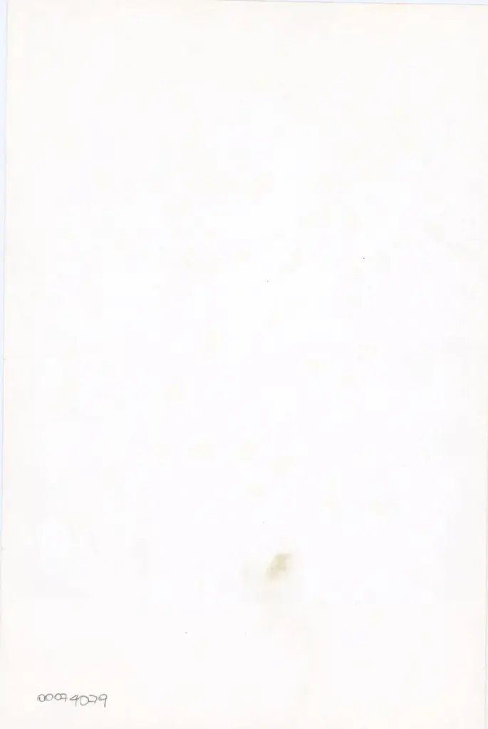 Anonimo , Anonimo - sec. X - Wolfenb&uuml;ttel, Herzog August Bibliothek, Cod. Guelf. 36.23 Augusteus 2 , retro