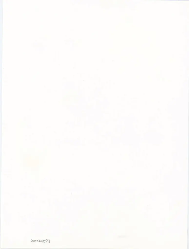 Rampazzi, Giustino , Grassi Giovannino de' - attr. - sec. XIV - Asti, Archivio di Stato, Codex Astensis o Liber Malabayla , retro