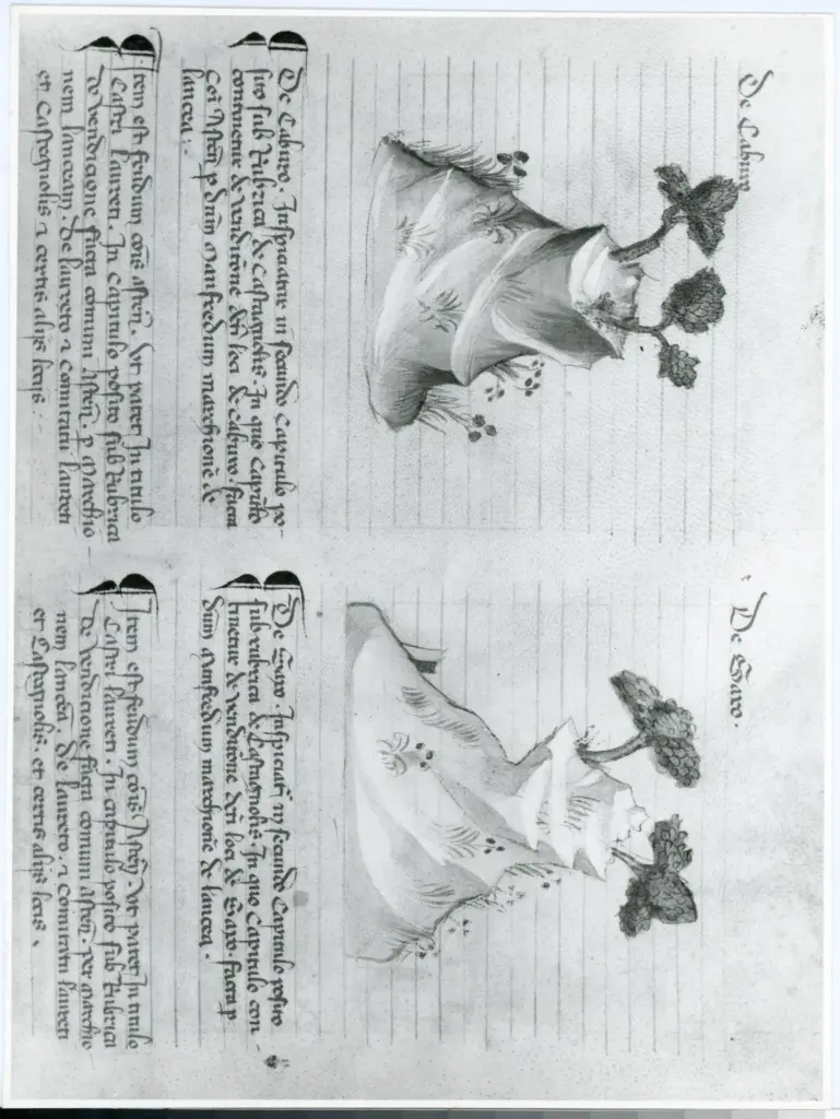 Rampazzi, Giustino , Grassi Giovannino de' - attr. - sec. XIV - Asti, Archivio di Stato, Codex Astensis o Liber Malabayla