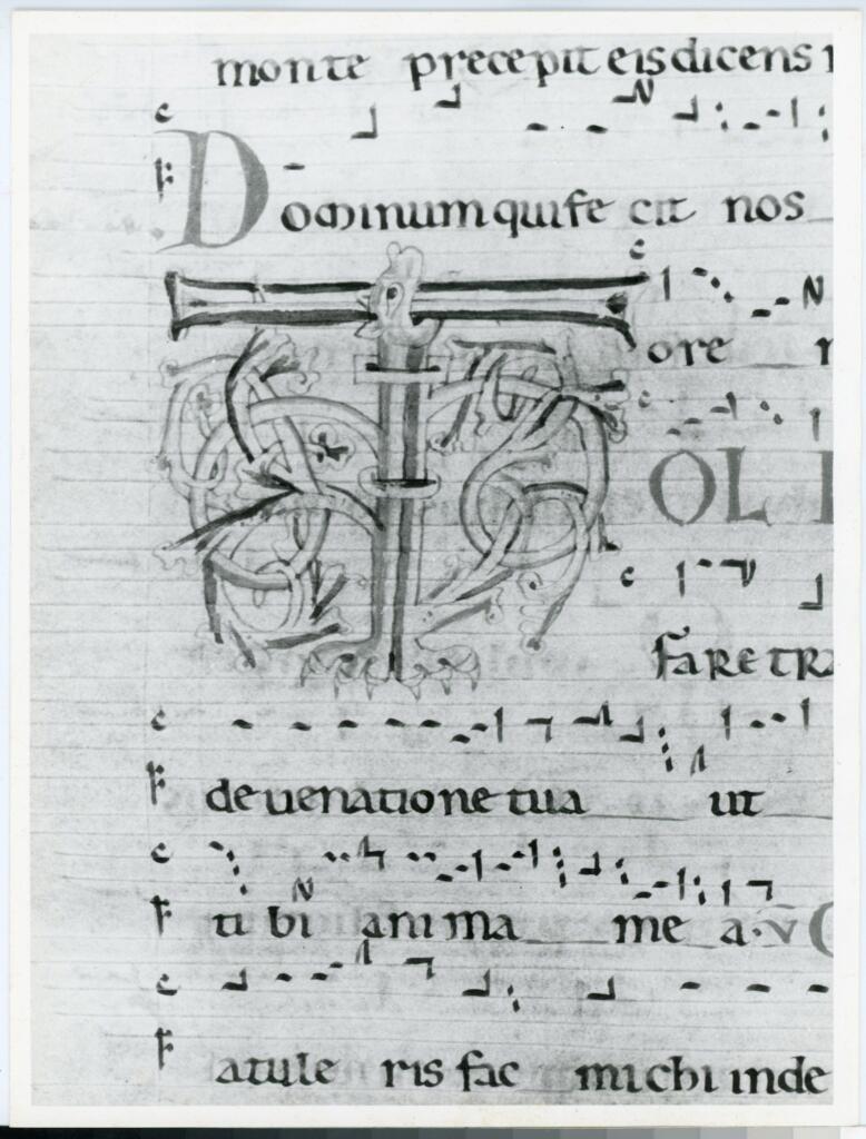 Anonimo italiano sec. XII , Iniziale T, Iniziale figurata, Motivi decorativi vegetali e zoomorfi