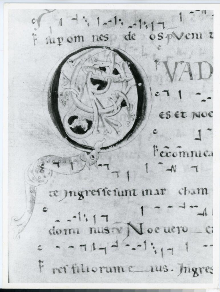 Anonimo italiano sec. XII , Iniziale Q, Iniziale figurata, Motivi decorativi vegetali e zoomorfi