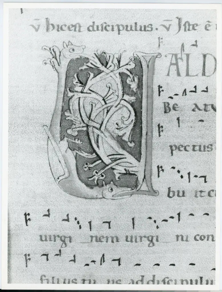 Università di Pisa. Dipartimento di Storia delle Arti , Anonimo italiano - sec. XII, inizio - Lucca, Biblioteca Capitolare Feliniana, Ms. 602, f. 28r, particolare , fronte