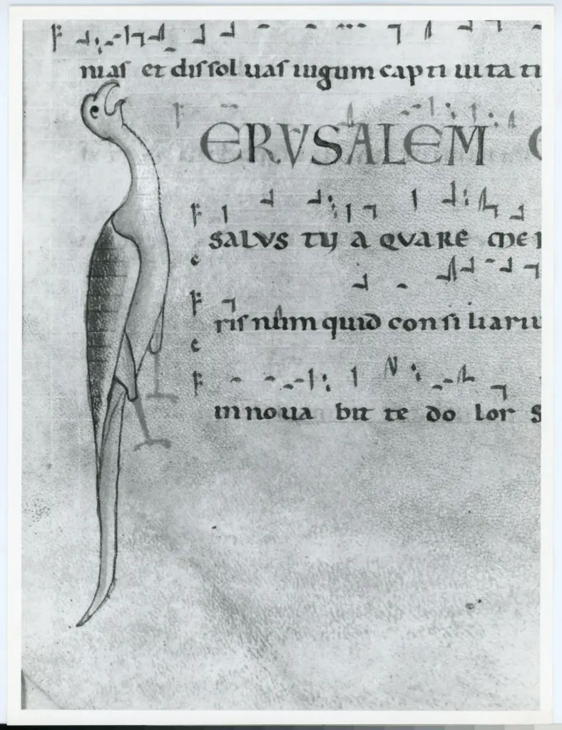 Universit&agrave; di Pisa. Dipartimento di Storia delle Arti , Anonimo italiano - sec. XII, inizio - Lucca, Biblioteca Capitolare Feliniana, Ms. 602, f. 7r, particolare , fronte