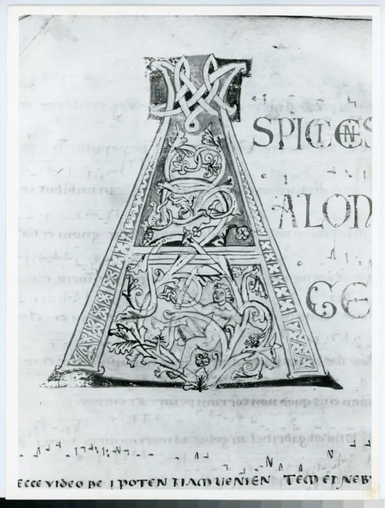 Universit&agrave; di Pisa. Dipartimento di Storia delle Arti , Anonimo italiano - sec. XII, inizio - Lucca, Biblioteca Capitolare Feliniana, Ms. 602, f. 4r, particolare , fronte