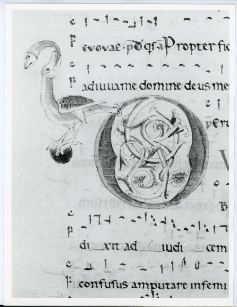 Anonimo italiano sec. XII , Iniziale D, Iniziale figurata, Motivi decorativi vegetali e zoomorfi