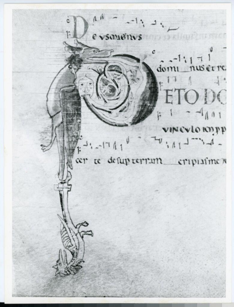 Anonimo italiano sec. XII , Iniziale P, Iniziale figurata, Motivi decorativi vegetali e zoomorfi, Protome