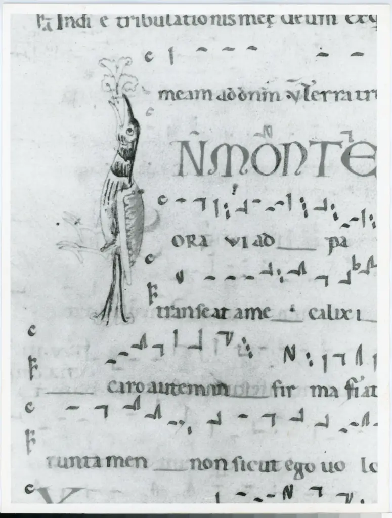 Università di Pisa. Dipartimento di Storia delle Arti , Anonimo italiano - sec. XII, inizio - Lucca, Biblioteca Capitolare Feliniana, Ms. 602, f. 81v, particolare , fronte